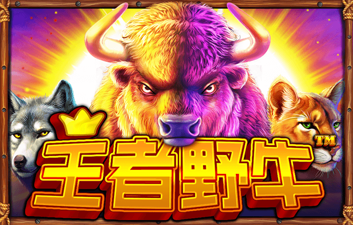 46333S:COM-WWW:46333S:COM截图4