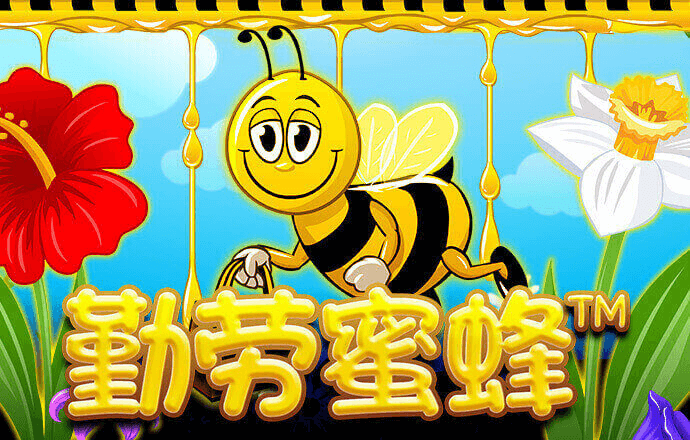 zzj3:com-www:zzj3:com